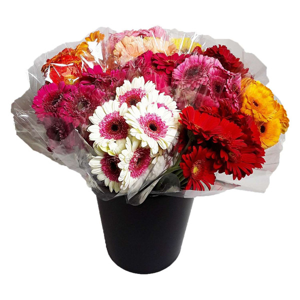 large_cfd16986-84aa-4796-be14-8b1ce9e39c21