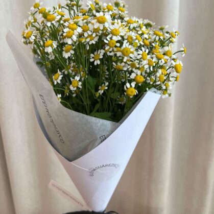 Tanacetum Flower bouquet(10 stems)